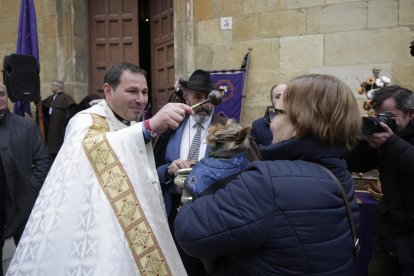 Bendición de los animales por San Antón en la plaza de San Marcelo en León.