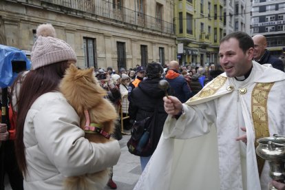 Bendición de los animales por San Antón en la plaza de San Marcelo en León.