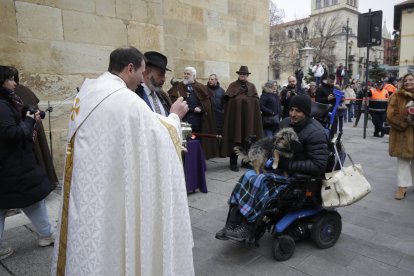 Bendición de los animales por San Antón en la plaza de San Marcelo en León.
