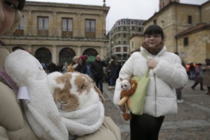 Bendición de los animales por San Antón en la plaza de San Marcelo en León.