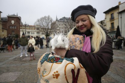 Bendición de los animales por San Antón en la plaza de San Marcelo en León.