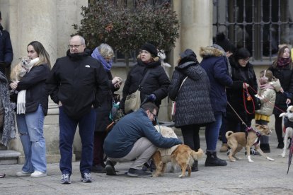 Bendición de los animales por San Antón en la plaza de San Marcelo en León.