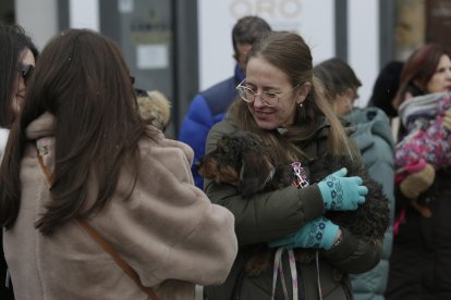 Bendición de los animales por San Antón en la plaza de San Marcelo en León.