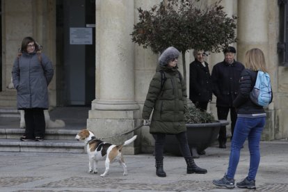 Bendición de los animales por San Antón en la plaza de San Marcelo en León.
