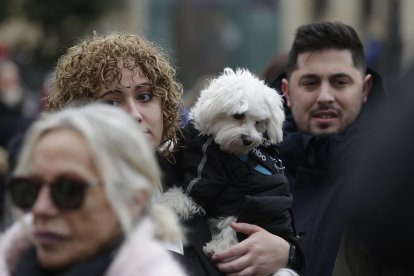 Bendición de los animales por San Antón en la plaza de San Marcelo en León.
