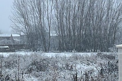 Nieve en Quintanilla de Sollamas.