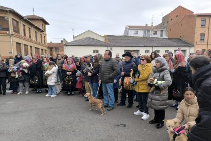Bendición de San Antón en Astorga.