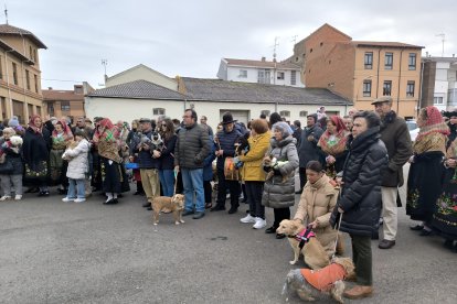 Bendición de San Antón en Astorga.