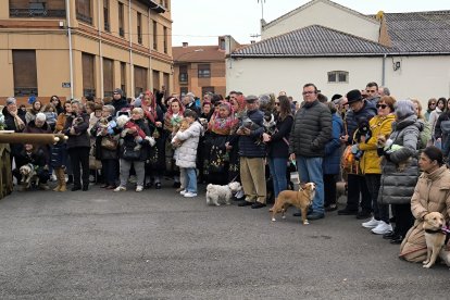 Bendición de San Antón en Astorga.