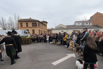 Bendición de San Antón en Astorga.