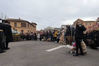 Bendición de San Antón en Astorga.
