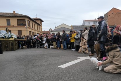 Bendición de San Antón en Astorga.