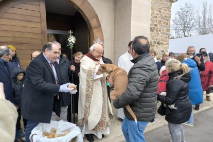 Bendición de San Antón en Astorga.