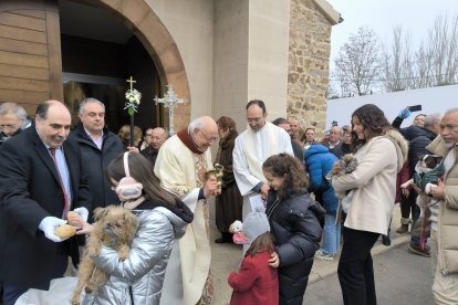 Bendición de San Antón en Astorga.