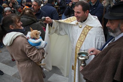 Bendición de San Antón a los animales en la plaza de San Marcelo en León.