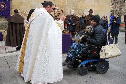 Bendición de San Antón a los animales en la plaza de San Marcelo en León.