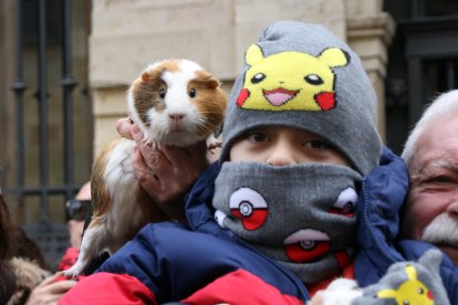 Bendición de San Antón a los animales en la plaza de San Marcelo en León.