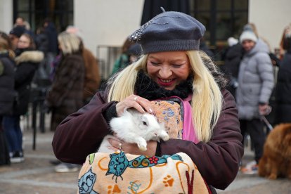 Bendición de San Antón a los animales en la plaza de San Marcelo en León.
