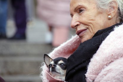 Bendición de San Antón a los animales en la plaza de San Marcelo en León.