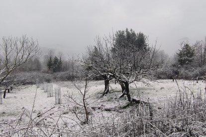 Nevada en Cabeza de Campo.