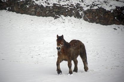 La comarca leonesa de los Argüellos amanece cubierta por la nevada de la noche anterior.