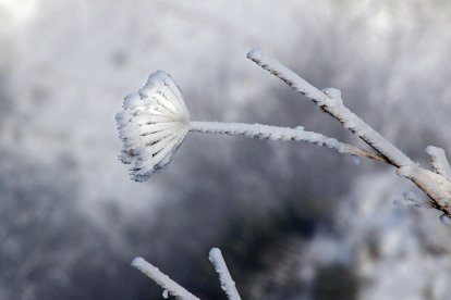La comarca leonesa de los Argüellos amanece cubierta por la nevada de la noche anterior.