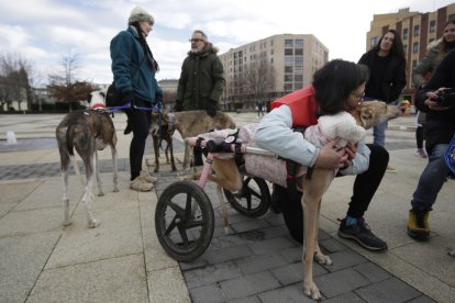 Manifestación contra el uso de perros en la caza en León.