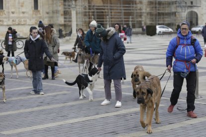 Manifestación contra el uso de perros en la caza en León.