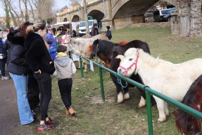 Feria de San Blas en Gradefes.