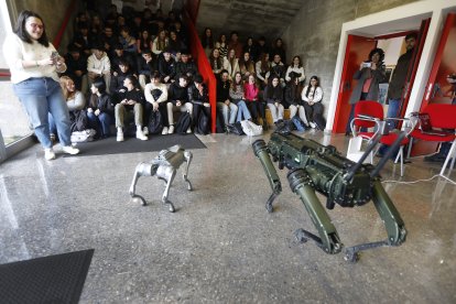 El robot pastor, Sultán, a la derecha, junto a otro cuadrúpedo que trabaja en exteriores.