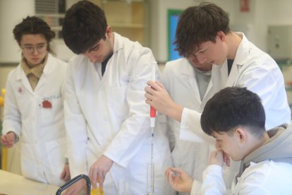 Durante la consecución de un experimento.