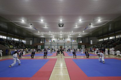 Campeonato de Castilla y León de kárate en Astorga.