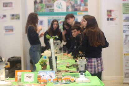 Las actividades tuvieron mucho eco entre los jóvenes