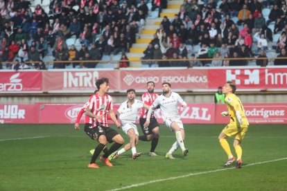 La grada del Reino de León se vuelca con su equipo de fútbol.
