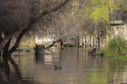 Vista de la crecida del río Tajo a su paso por Toledo este miércoles..EFE/Ángeles Visdómine