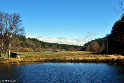 Laguna en Riocamba con el pinar al fondo.