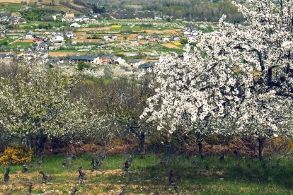 Vista del paisaje vestido de blanco.