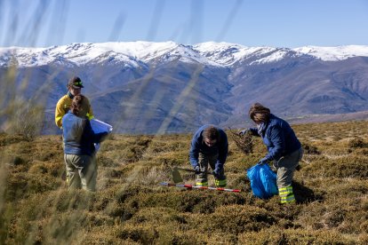 Técnicos del programa, en el momento de testar los equipos.