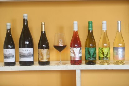 La bodega de los hermanos Paniagua Bajo suma una nutrida oferta de alta gama.
