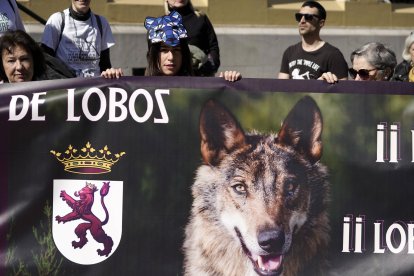 Varias personas participan en una manifestación este domingo a la entrada de la sede de Presidencia del Principado en Oviedo, en protesta por la desprotección del lobo ibérico. EFE/Paco Paredes