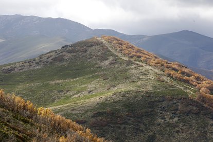 La Cabrera, una de las áreas piloto del proyecto.