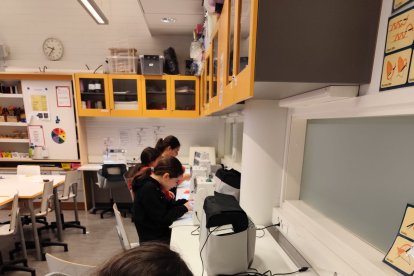 El colegio Trepalio visita un colegio de Finlandia