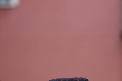 Descripción de la imagen