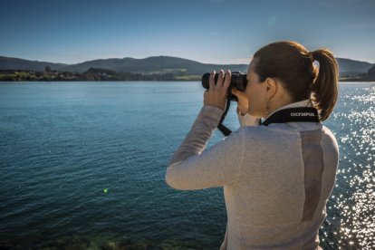 Turismo ornitológico en la ría de Foz