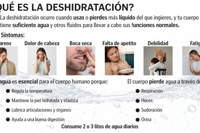 Causas de la deshidratación.