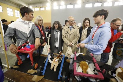 Las sillas adaptadas para perros con movilidad reducida.