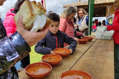 Romería en Villasfrías 2025.