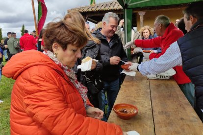 Romería en Villasfrías 2025.