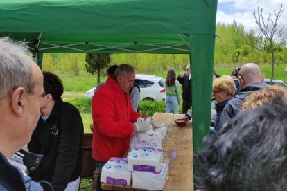 Romería en Villasfrías 2025.