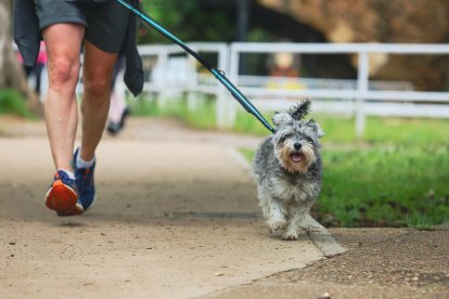 León corre por el párkinson.